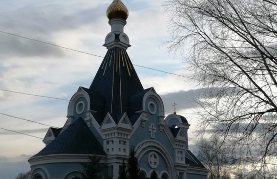 Сегодня на вечерней службе мы, как и две тысячи лет назад,  держали в руках освещенную  вербу и славили Христа.