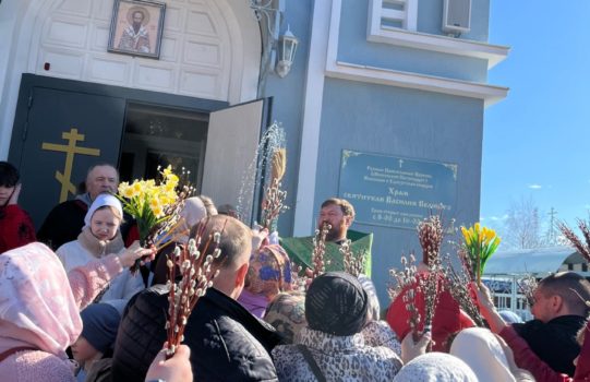 Всем храмом сегодня встречали въезжавшего на осленке нашего Спасителя.