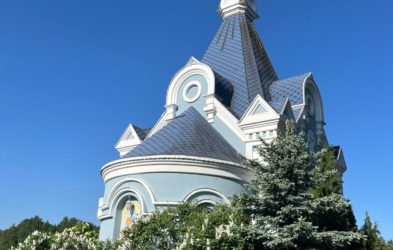 О ПРИЧАСТИИ В ТРОИЦКУЮ СПЛОШНУЮ СЕДМИЦУ. A3gwmTx9o_H1g-0lW3g-DD_46VvtF2VmfvdczkGrQp_WqSynsH6ez4OH6jW1sRR2cuPe_ryTXhIfC4aJsTiDsQa9